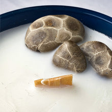 Load image into Gallery viewer, Arbutus Lake