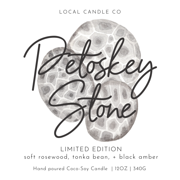 Petoskey Stone